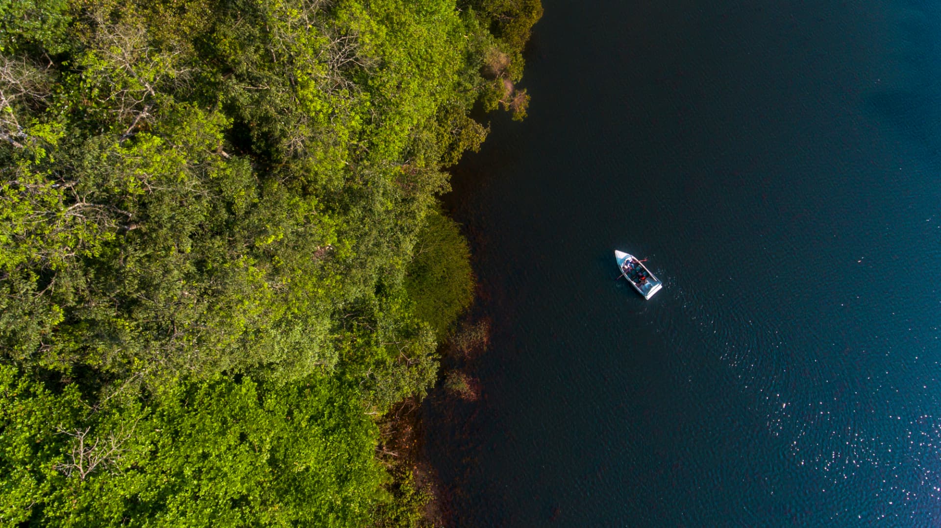 Abad Brookside Lakkidi — aerial view of the lake, Wayanad