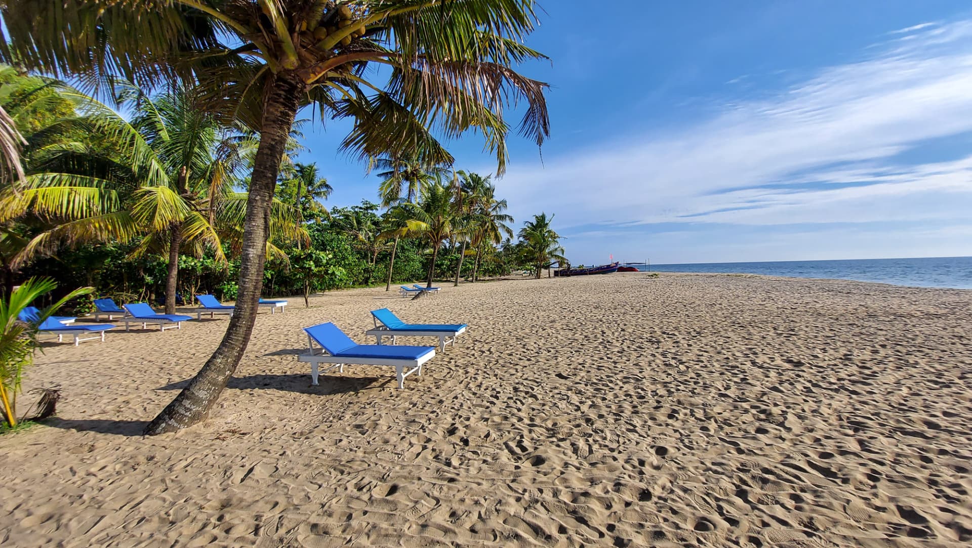 Abad Turtle Beach — beach loungers under the palms
